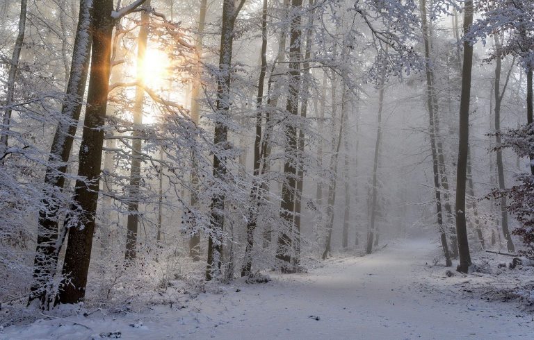 Ook in de winter gaan we naar buiten