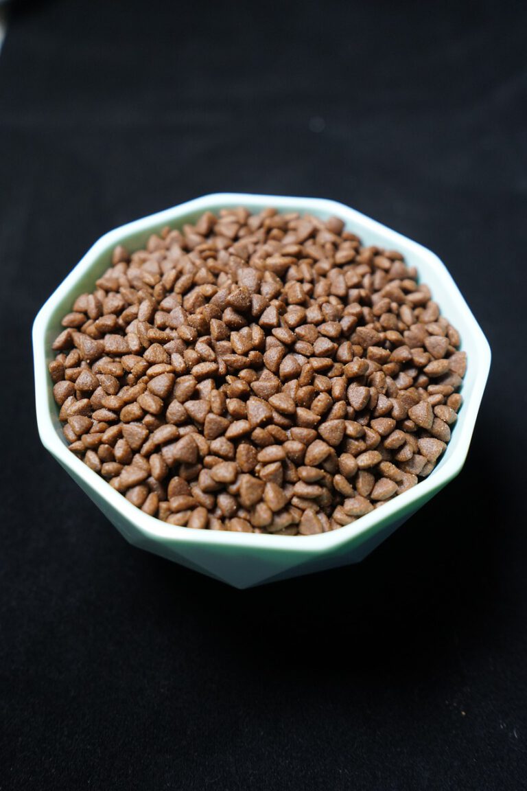 Alles wat je moet weten over hypoallergeen kattenvoer
